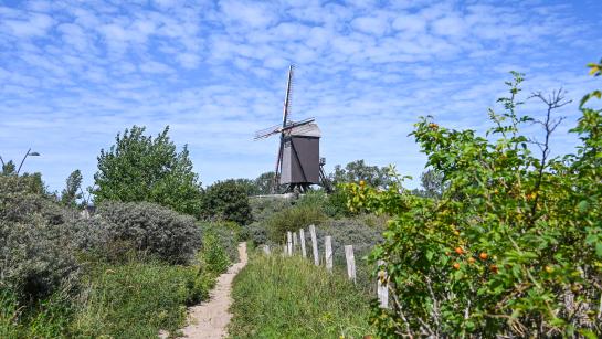 Zuid-abdijmolen