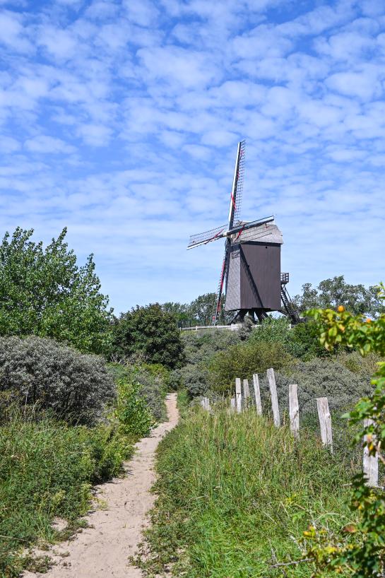Zuid-abdijmolen